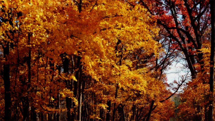 Jacky Connolly's Basement Puzzles / Rune Rooms