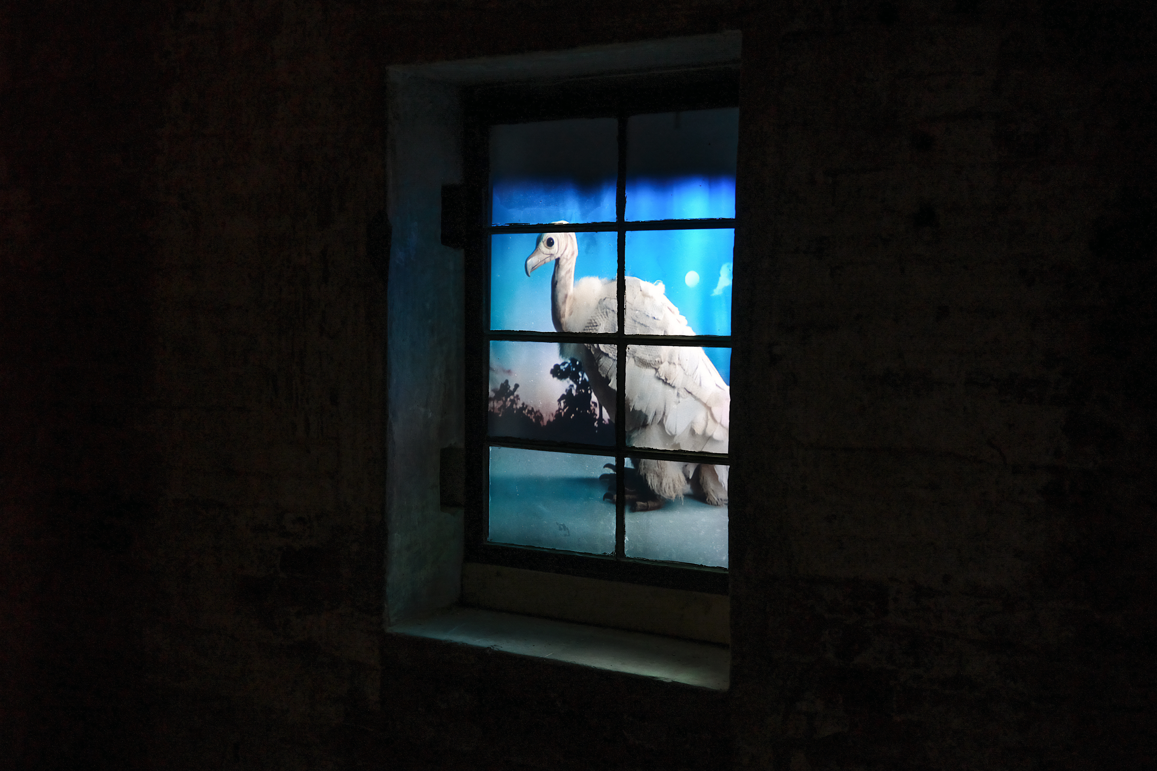 Jacky Connolly, Scenes from Subnature and the Mineral Kingdom, 2025, Lower Cavity