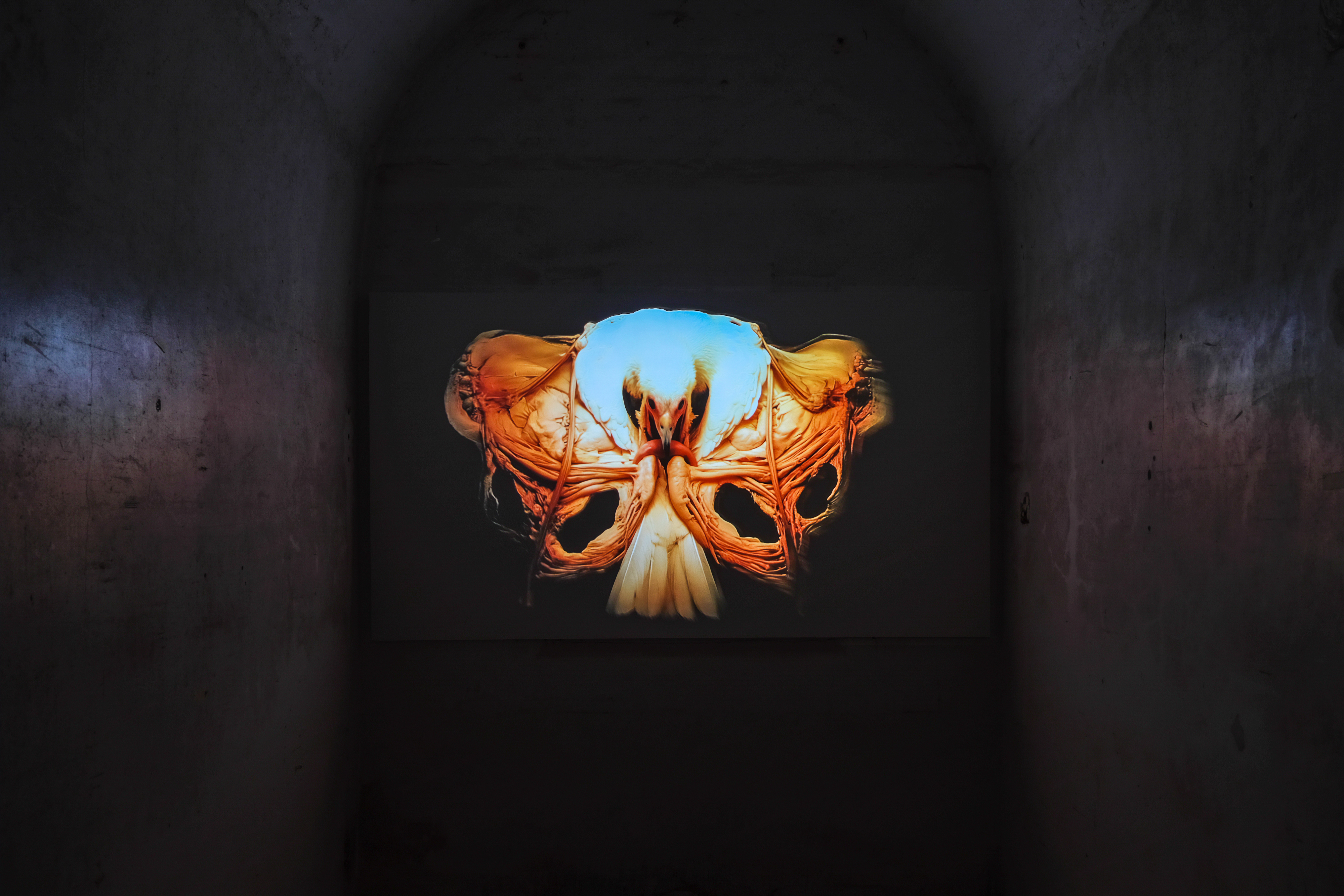 Jacky Connolly, Scenes from Subnature and the Mineral Kingdom, 2025, Lower Cavity