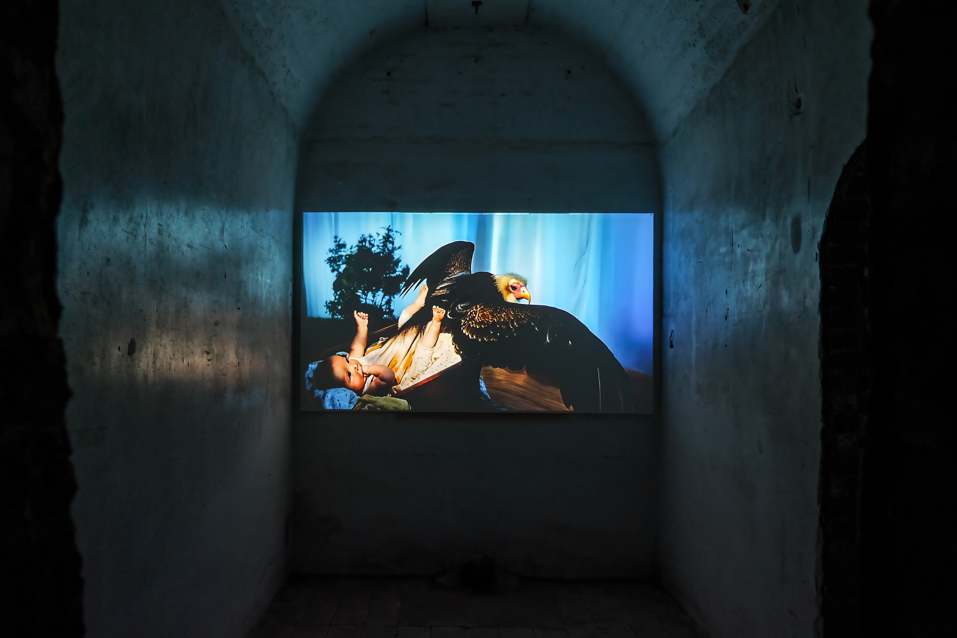 Jacky Connolly, Scenes from Subnature and the Mineral Kingdom, 2025, Lower Cavity